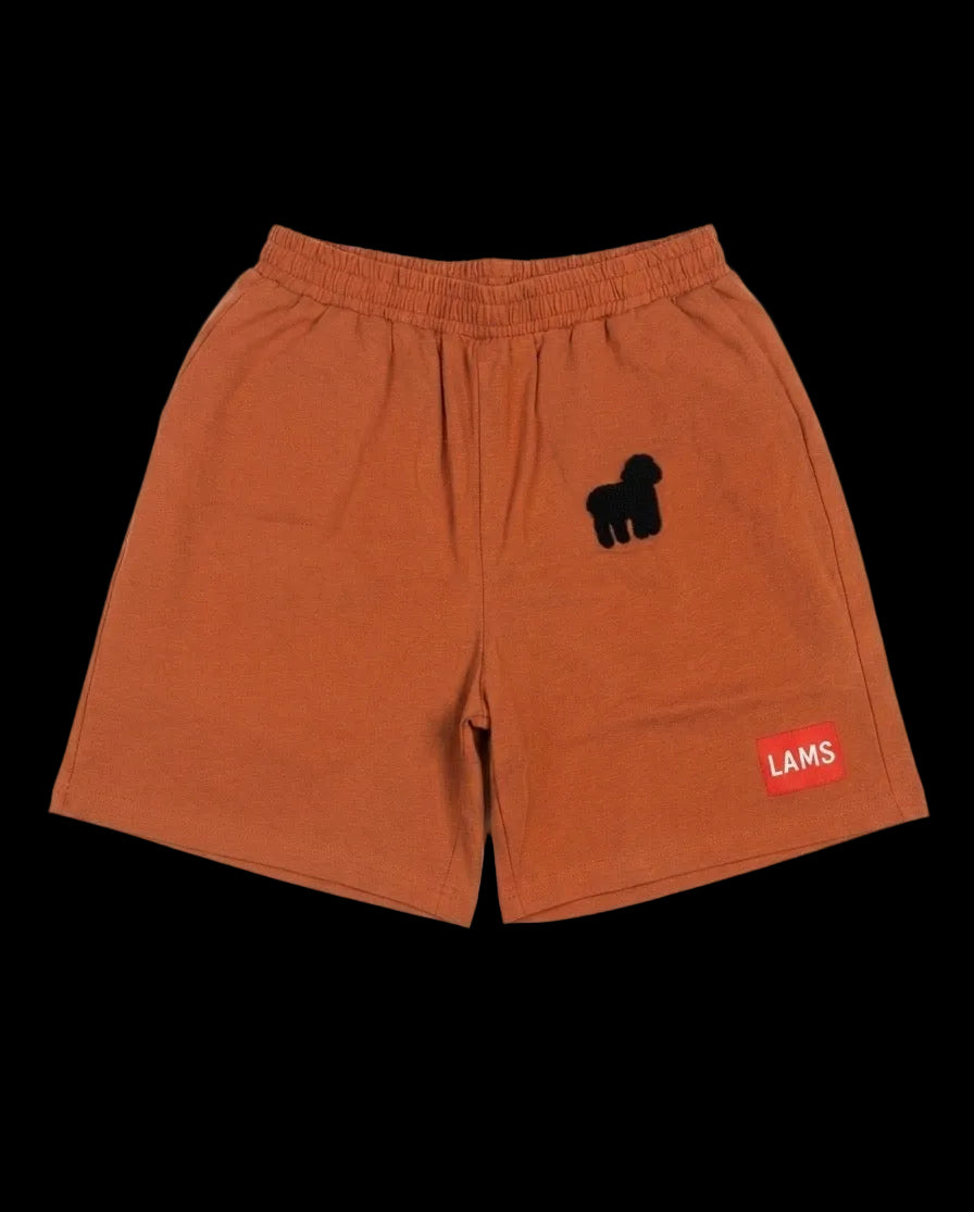 Burnt Orange Patch Shorts
