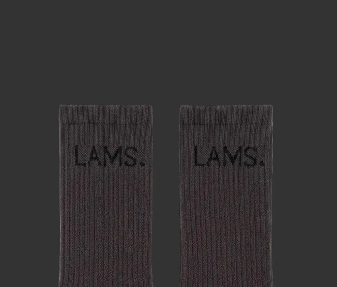 LAMS Grey Socks